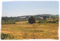 Natuur 