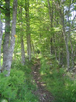 wandelvakantie frankrijk