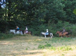 Paardrijden in de natuur