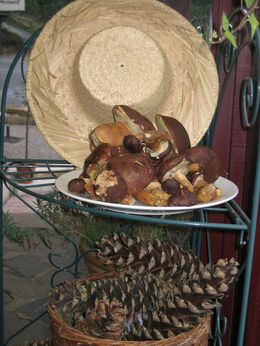 Herfst op de kleine camping Domaine Lacanal