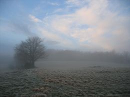 mystieke natuur bij zonsopgang op lacanal