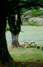 Picknicken op de kleine camping