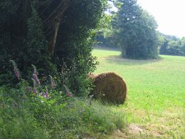 kleine camping hooien in de monts de Lacaune