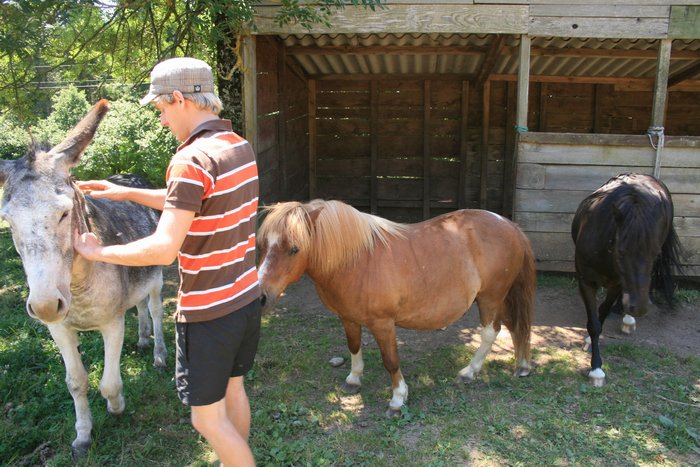 Ezel en pony