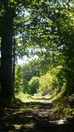 Op Domaine Lacanal kan je fantastisch wandelen en &oacute;&oacute;k nog eens sfeervol overnachten