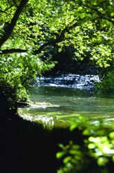 Stroompje naar het Lac du Laouzas