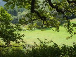 uitzicht kleine camping