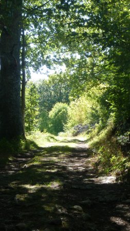 Domaine Lacanal kleine camping met huurtent en vakantiehuisje