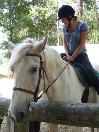 Activités sportives équitation