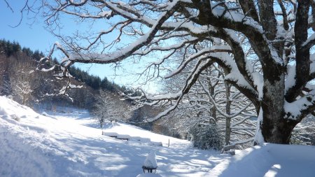 Vacances de Noël