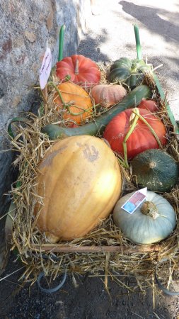 Soupe de potiron savoureux frais plats savoreux