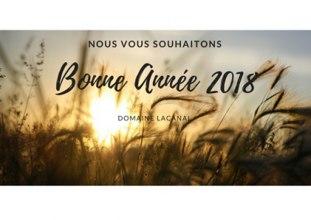 Welcome in the blue zone - happy 2018 happy new year 2018