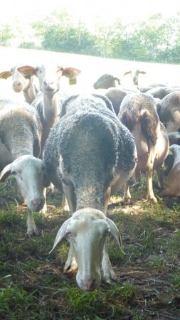 Dagbesteding leuke uitjes omgeving lacanal