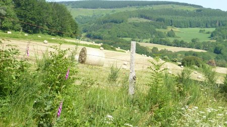 Camping op het franse platteland