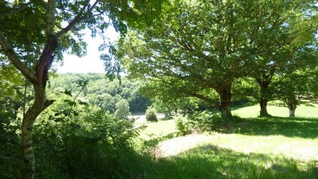 gite cottage france