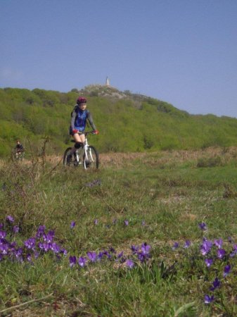 fietsvakantie Frankrijk