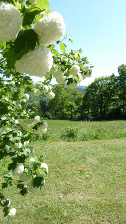 camping sans voitures