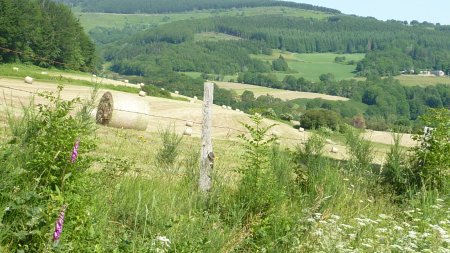 vacances a la campagne