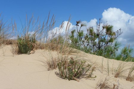 Valras plage middellandse zee frankrijk