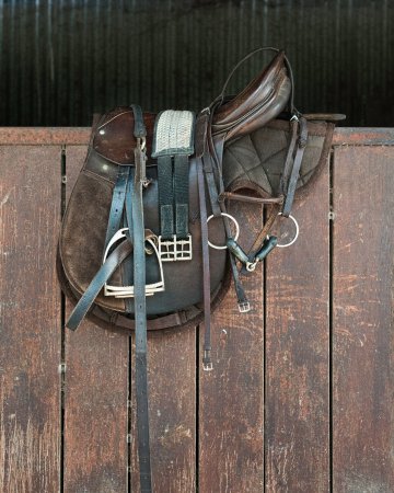 N’oubliez pas vos bottes d’équitation Activités sportives équitation