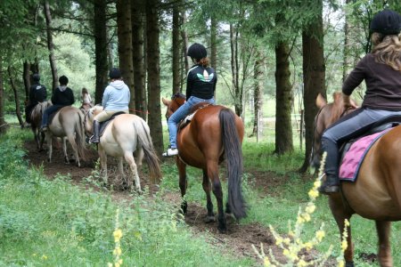 Heerlijk paardrijden door de vrije natuur rondom camping Domaine Lacanal