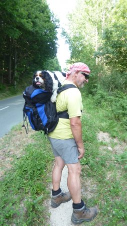 walking hiking holiday france